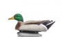  " " (active drake) 62breite   