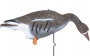    Sport Plast  LC 940 (4400/4 FSM)     6 