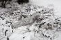   Jackal Ghillie Suits 3-D Body system -/GS01B-SC (Camosystems,  ),  "" 