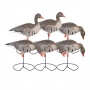   GreenHead " "  Pro-Grade (6 ) .71852