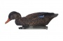   Lucky Duck "  "   .LD-4
