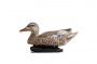  "   " (rester hen) 62breite   